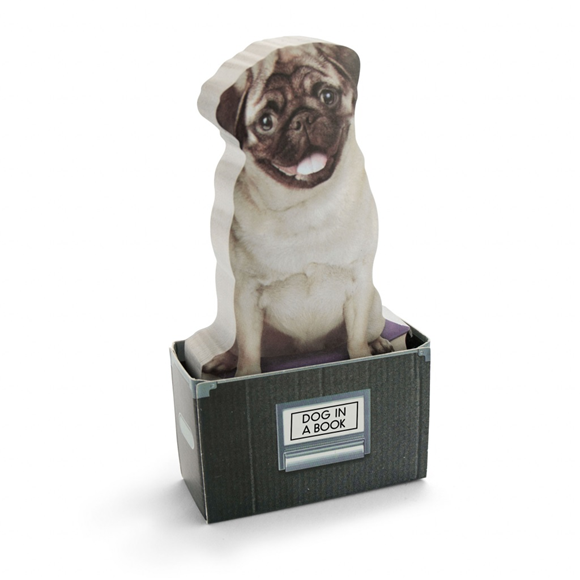Product image 1 of Mustard Dog In A Box
