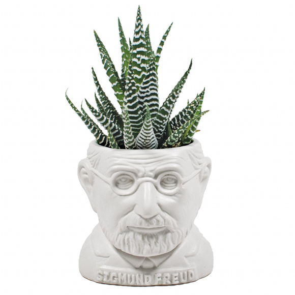 Product image 1 of UPG Planter - Sigmund Freud