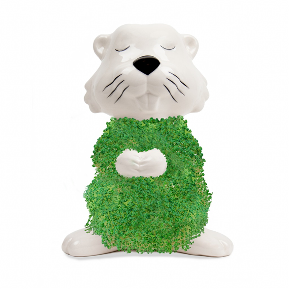 Product image 1 of Gift Republic Hairy Beaver Chia Pet