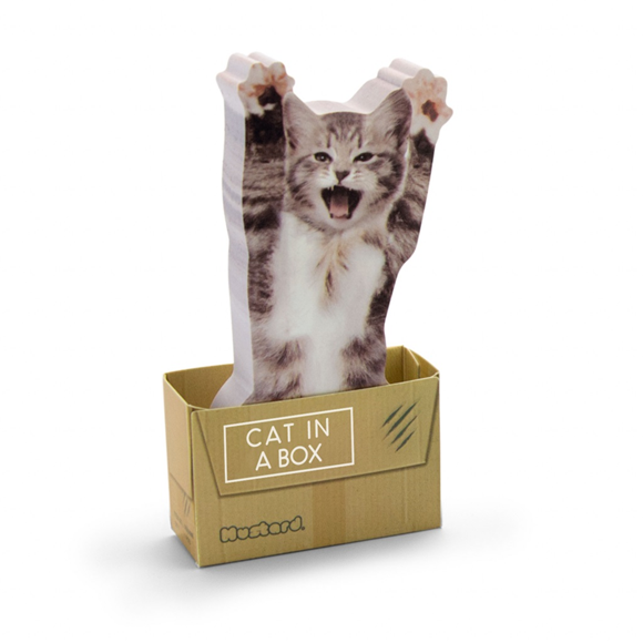 Product image 1 of Mustard Cat In A Box