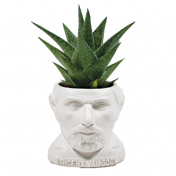 Product image 1 of UPG Planter - Vincent Van Gogh