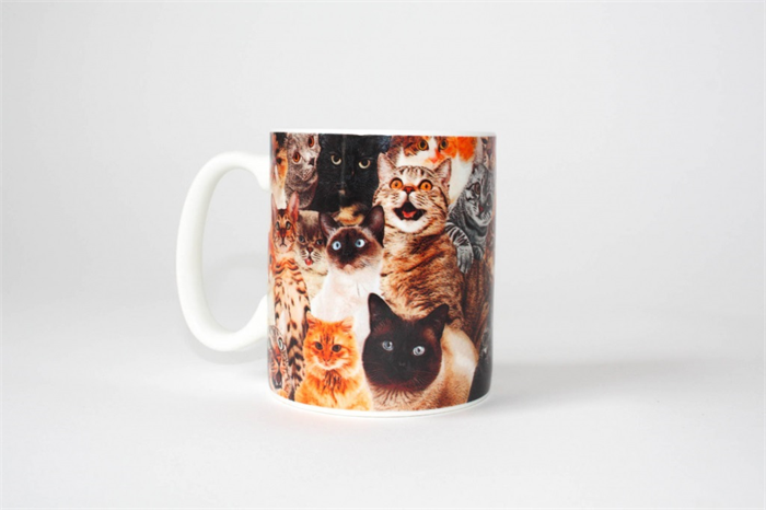 Product image 1 of Gift Republic Crazy Cat Lady Mug
