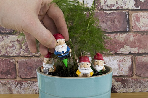 Product image 1 of Gift Republic Mini Garden Gnomes