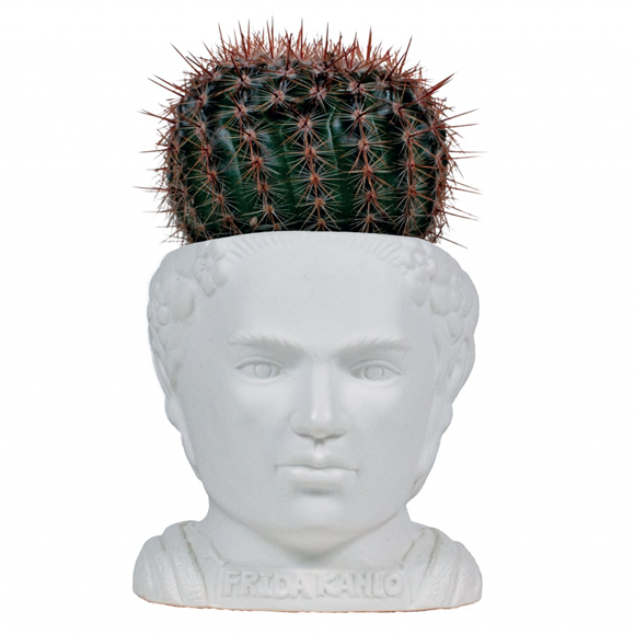 Product image 1 of UPG Planter - Frida Kahlo