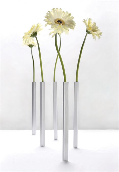 Product image 1 of Peleg Design Magnetic vases - silver - set 5 pcs