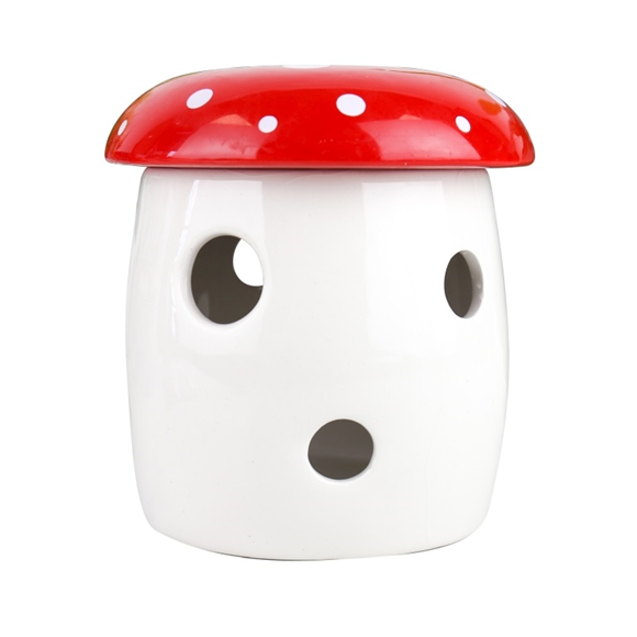Product image 1 of Gift Republic Mushroom Grow Kit