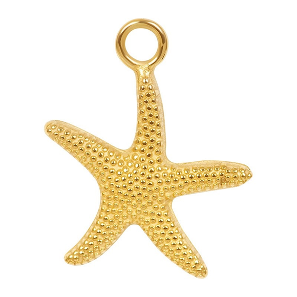 Product image 1 of Anhänger Sea Star