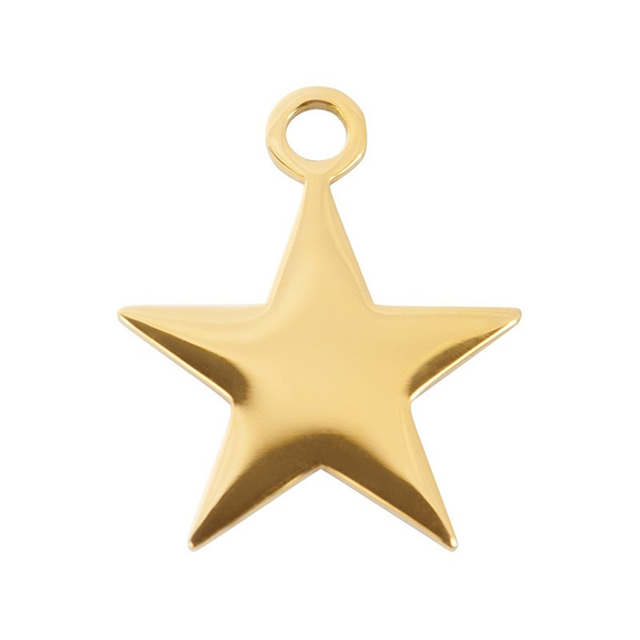Product image 1 of Anhänger Star