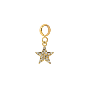 Image of Charm Small Star