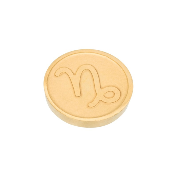 Product image 1 of Top part Capricorn
